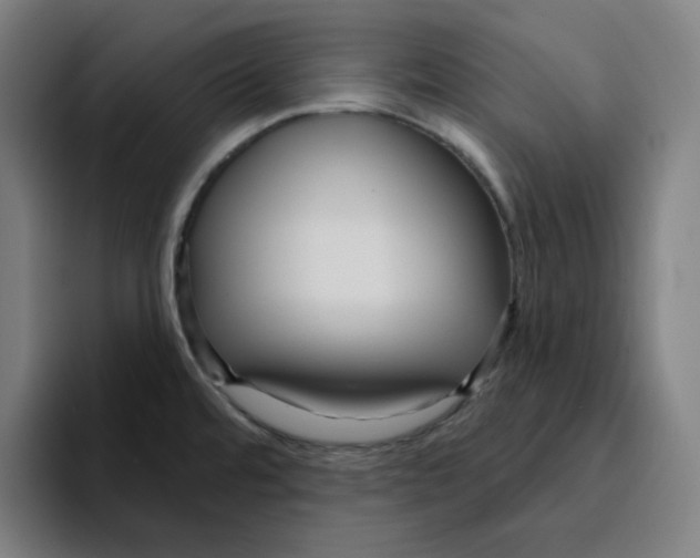 X0000094921480200712271523