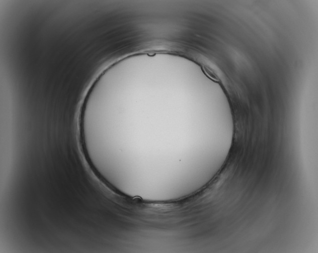 X0000094921483200712271523