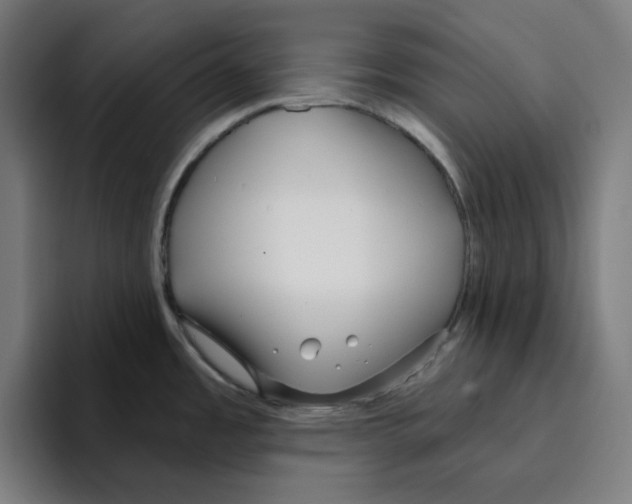 X0000094921485200712271523