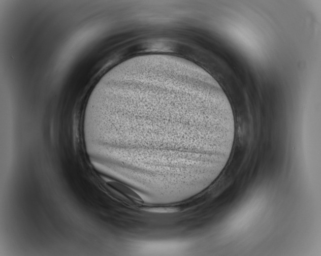 X0000094921487200712271522