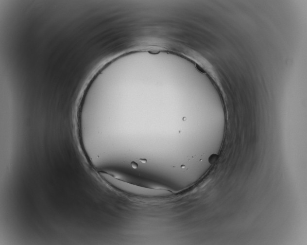 X0000094921488200712271522