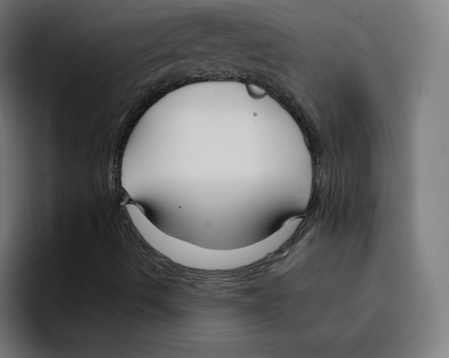 X0000094921490200712271522