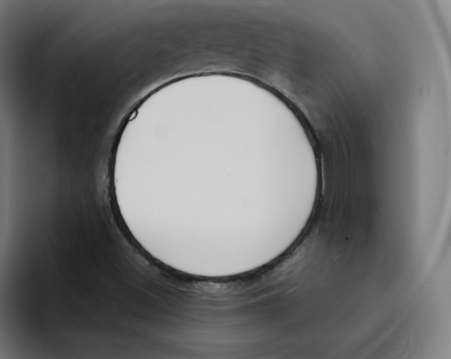 X0000094921500200712271522