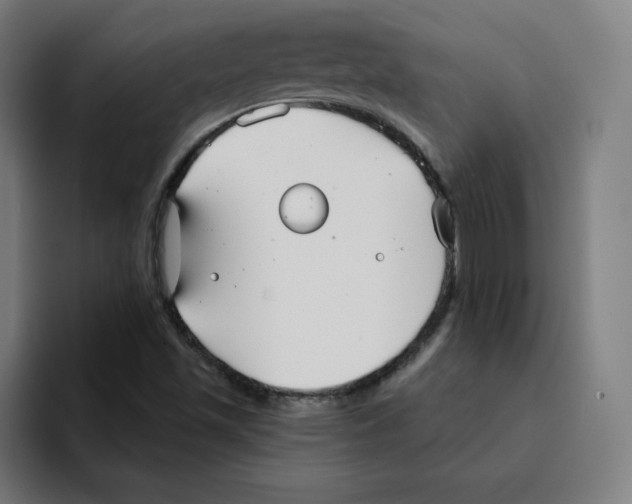 X0000094921501200712271522