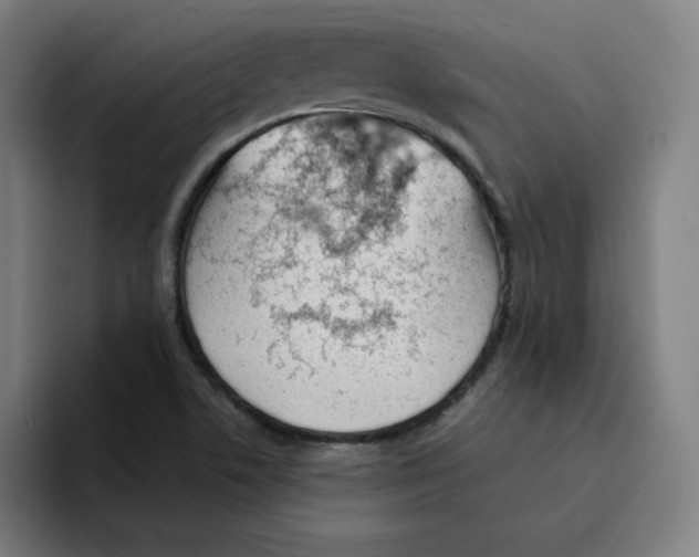 X0000094921506200712271522