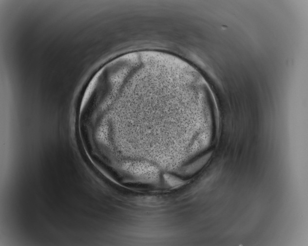 X0000094921508200712271522