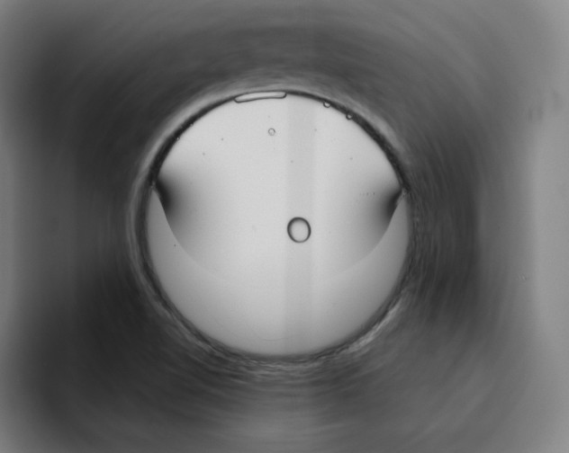X0000094921510200712271522
