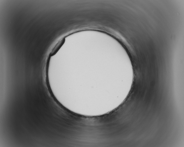 X0000094921512200712271522