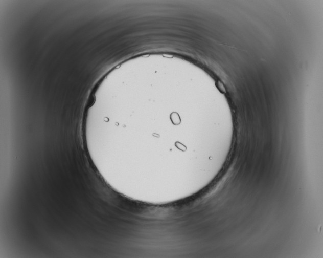 X0000094921513200712271522