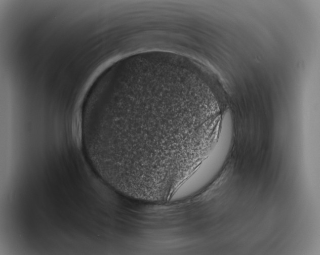 X0000094921515200712271522