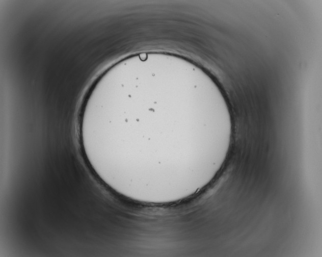 X0000094921517200712271522