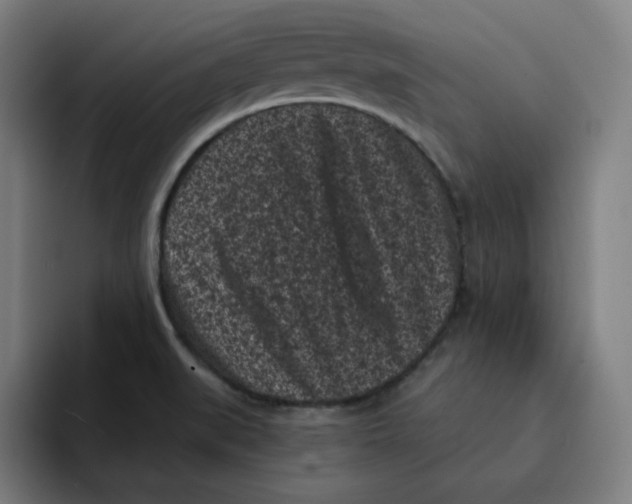 X0000094921519200712271522