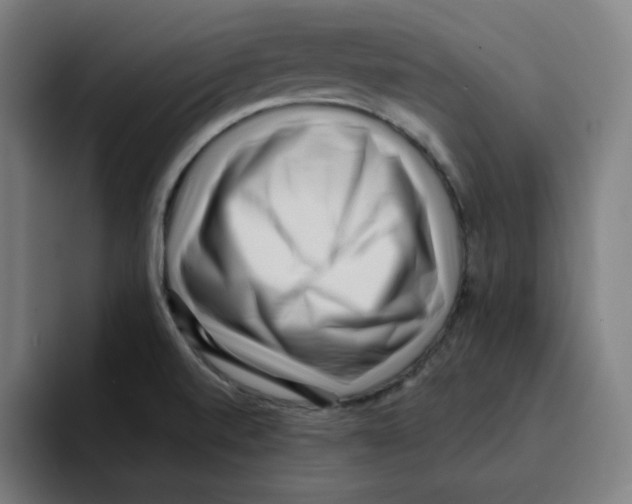 X0000094921520200712271522