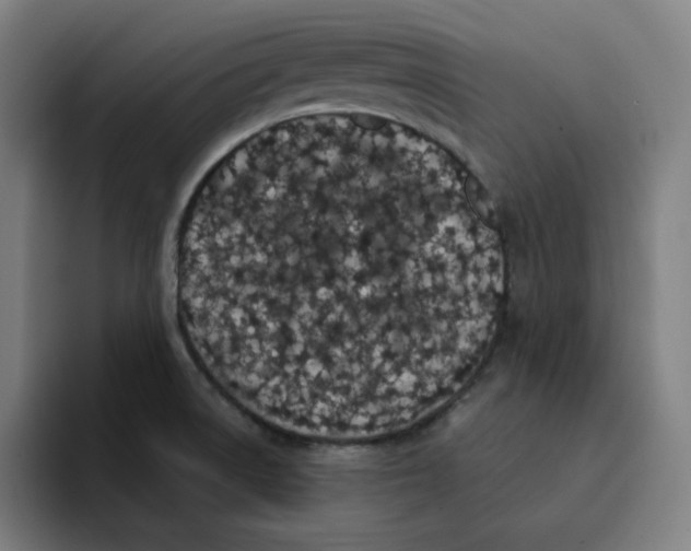 X0000094921522200712271522