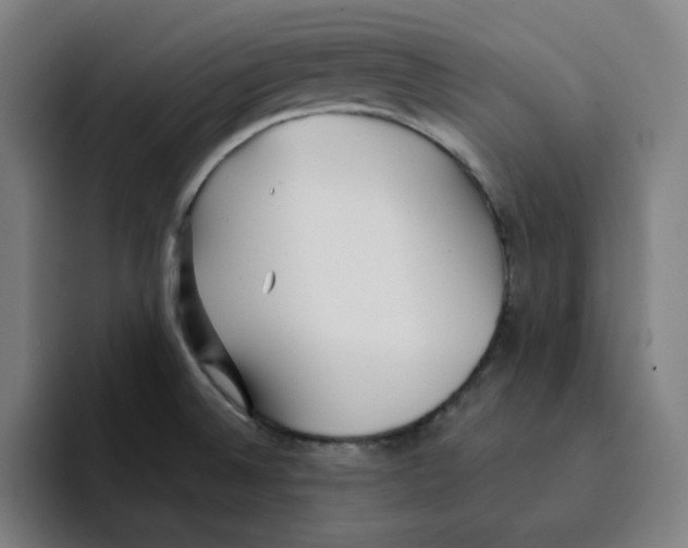 X0000094921524200712271522