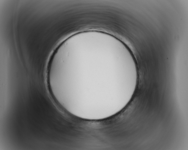 X0000094921525200712271522