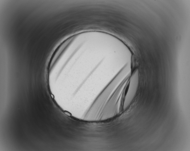 X0000094921527200712271522
