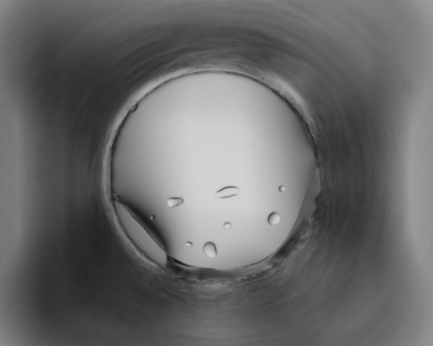 X0000094921528200712271522