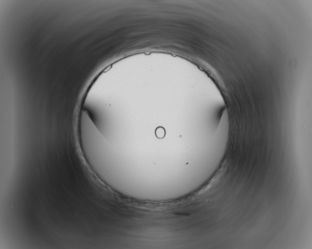 X0000094921530200712271522