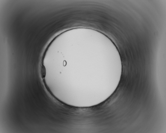 X0000094921531200712271522