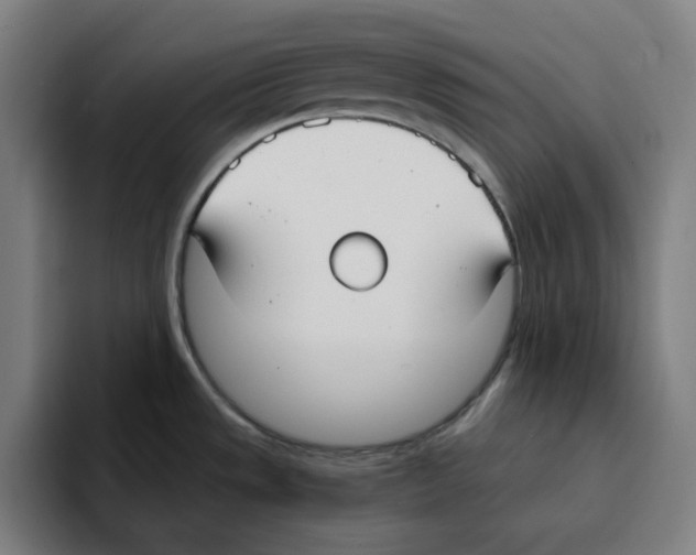 X0000094921533200712271522