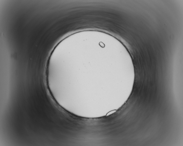 X0000094921534200712271522