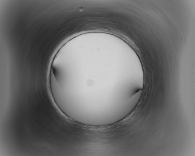 X0000094921536200712271522