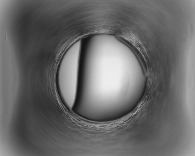 X0000094930001200711291010