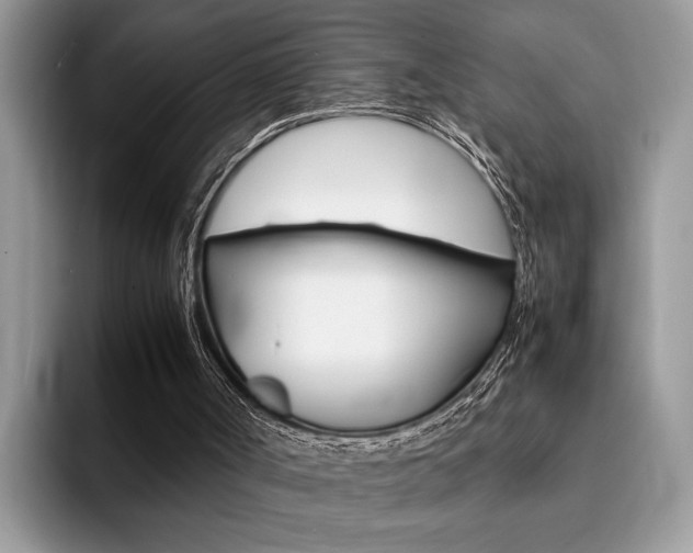 X0000094930002200711291010
