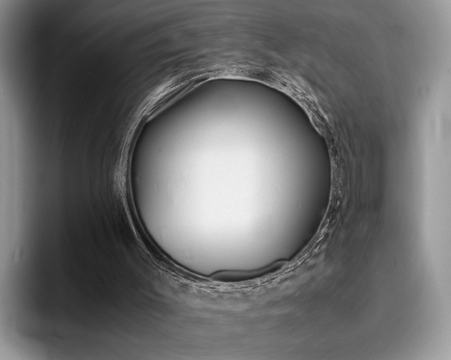 X0000094930003200711291010