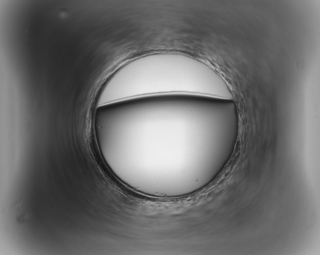 X0000094930005200711291010