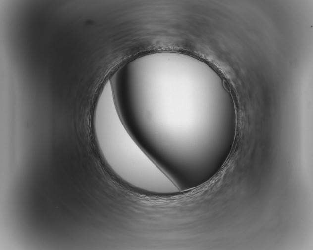 X0000094930009200711291010