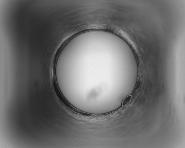 X0000094930011200711291010