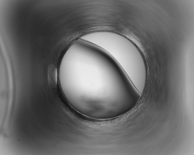X0000094930013200711291010