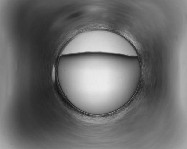 X0000094930014200711291010