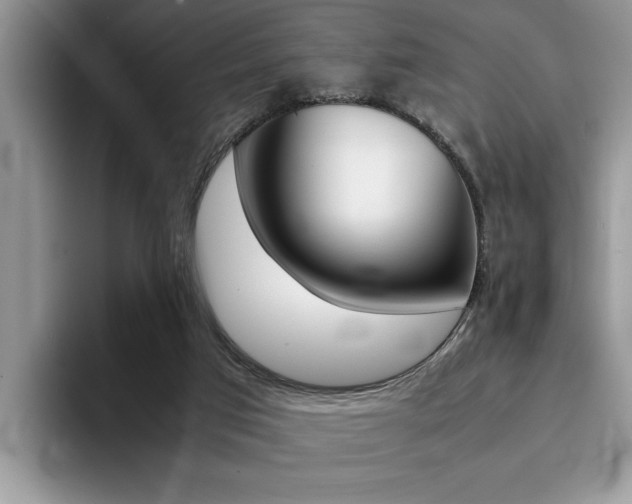 X0000094930017200711291010