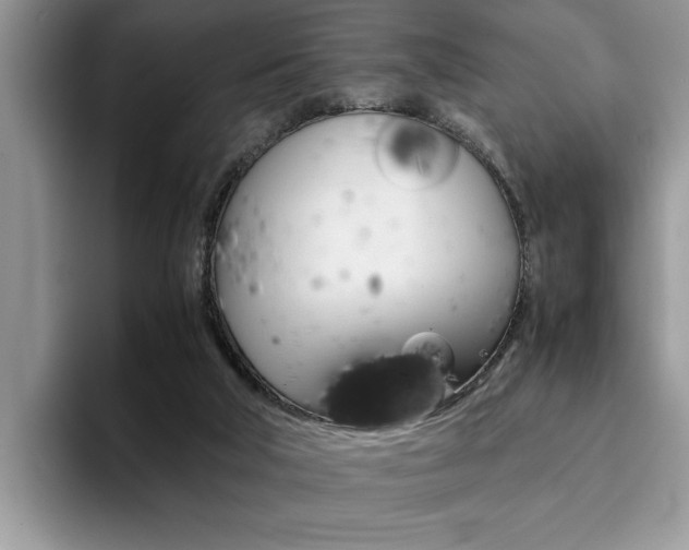 X0000094930018200711291010