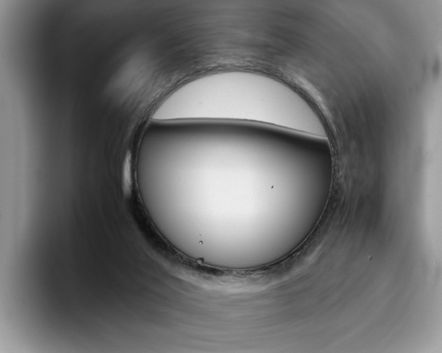 X0000094930020200711291010