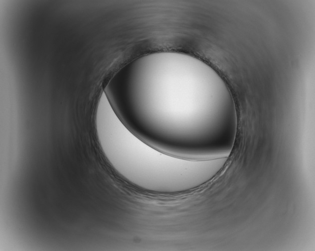 X0000094930021200711291010