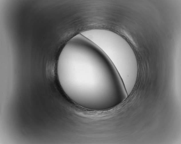 X0000094930023200711291010