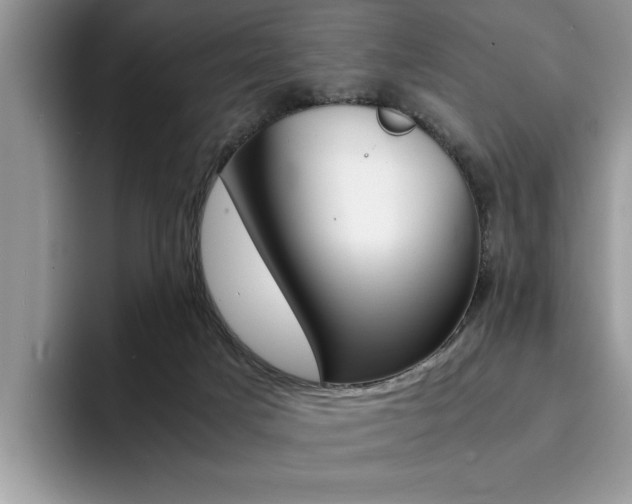 X0000094930025200711291010