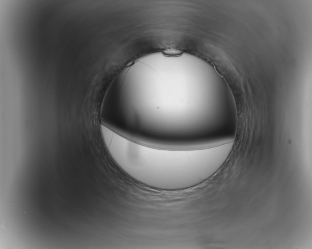 X0000094930031200711291010