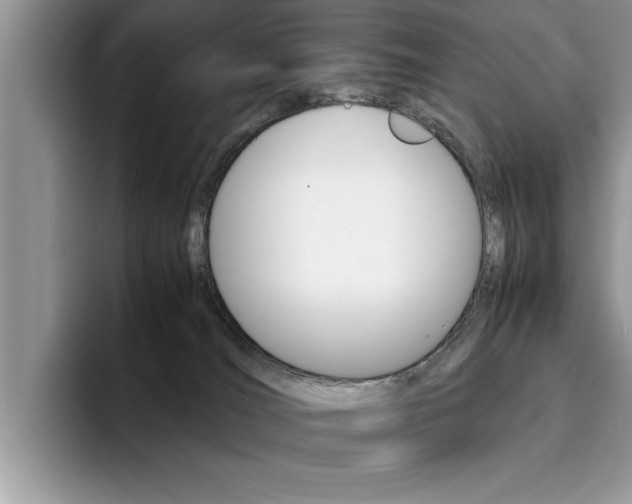 X0000094930036200711291010