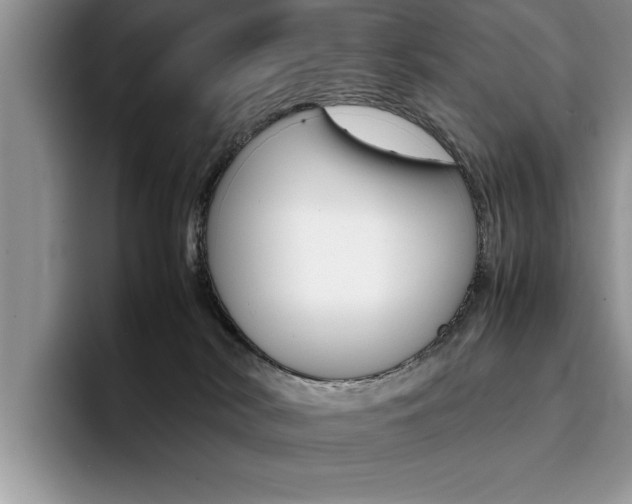 X0000094930038200711291010