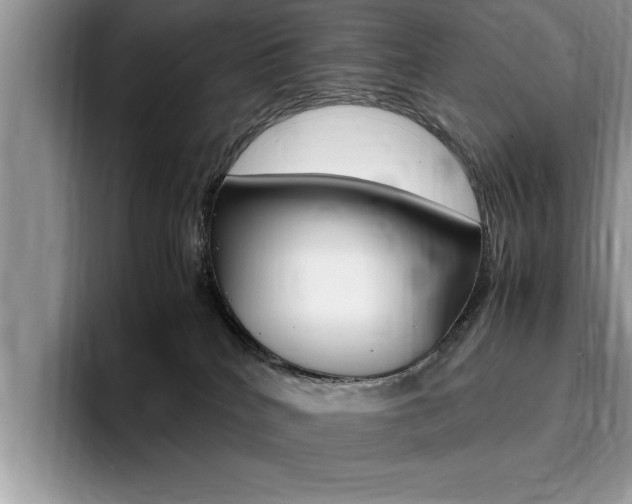 X0000094930040200711291010