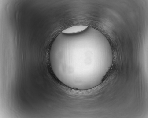X0000094930043200711291010