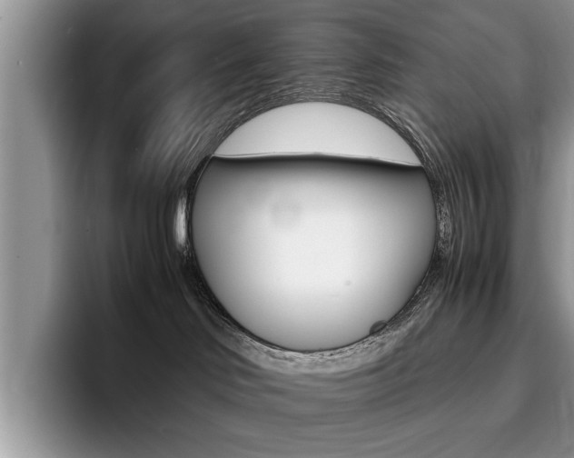 X0000094930046200711291010