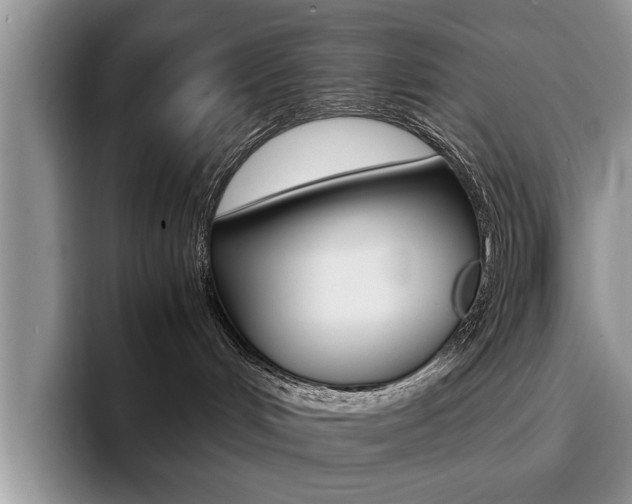 X0000094930048200711291010