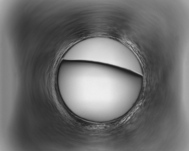 X0000094930049200711291009