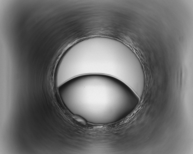 X0000094930050200711291009